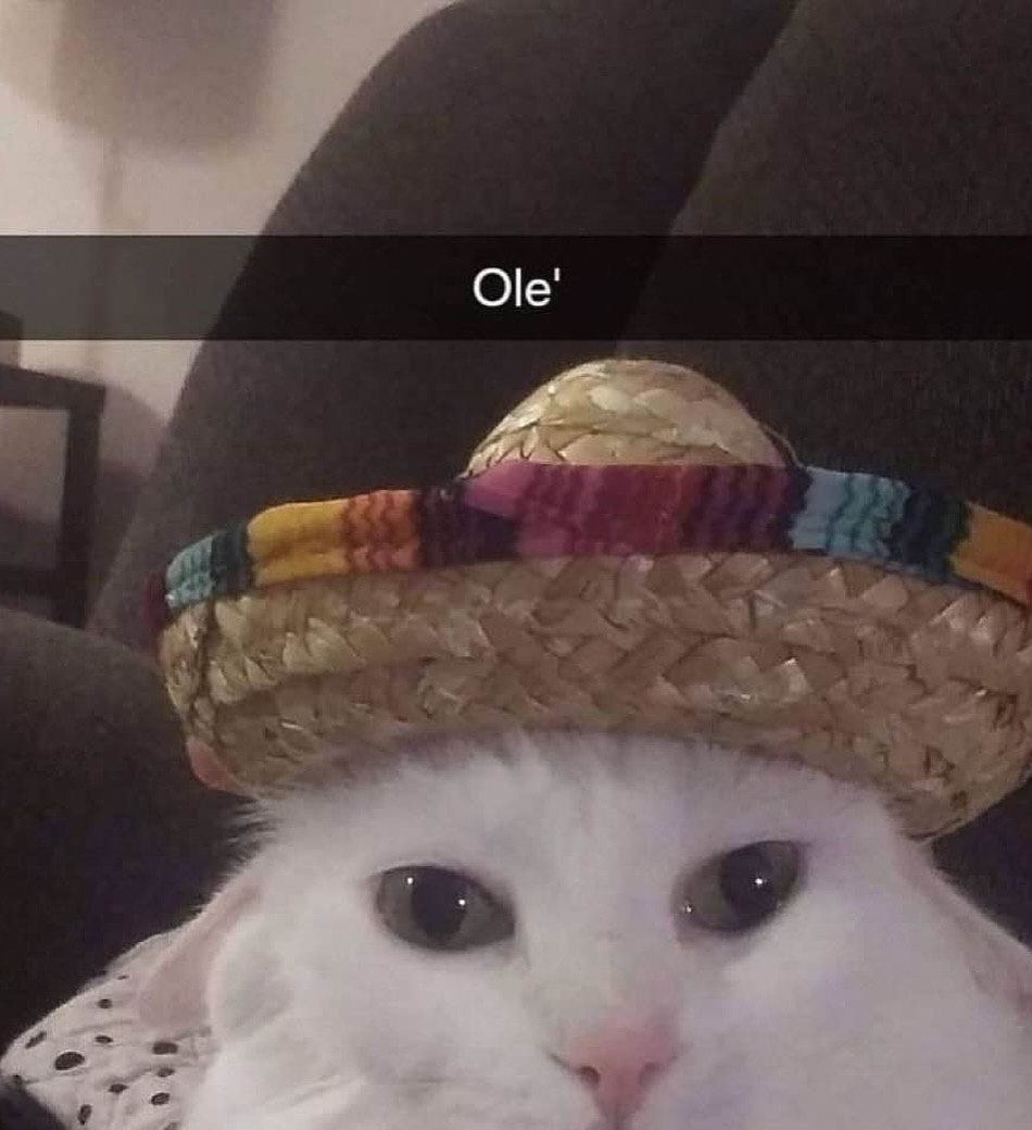 Ole'