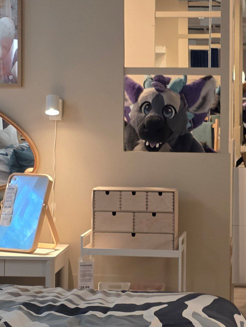 Dust the Dutchie 🔜 🧭 tweet media