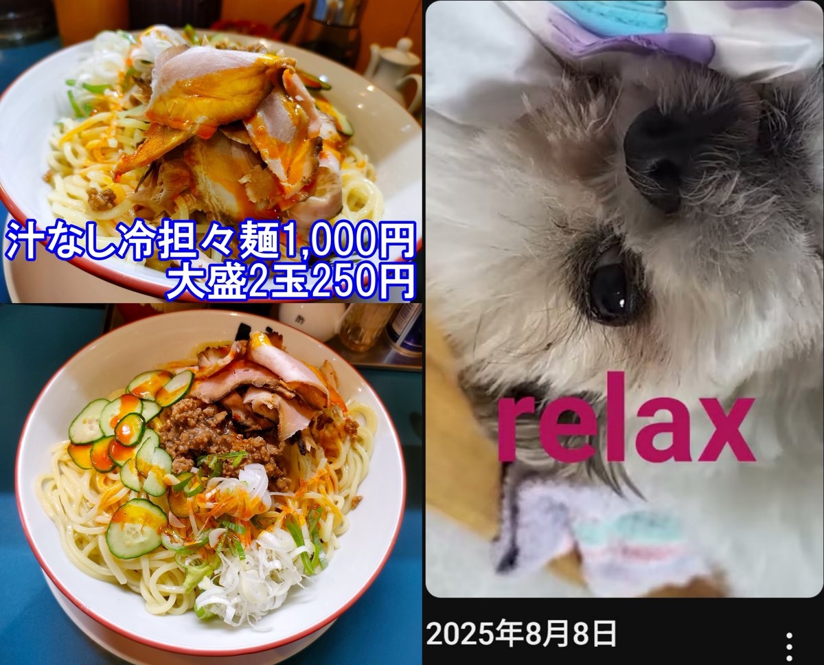 スパイシー辣油＋自家製麺＝担々麺
頂くは、らーめんよし丸(埼玉県川越市)
写真じゃ伝わらんが
自家製中太麺のツルモチ感に傾注w
blog2021.com/?p=31726
ワンコ動画は、
寝起きと
初めてのカブトムシ
の2本立てよ～
youtube.com/shorts/5GSx-0P…
youtube.com/shorts/LorBBm7…