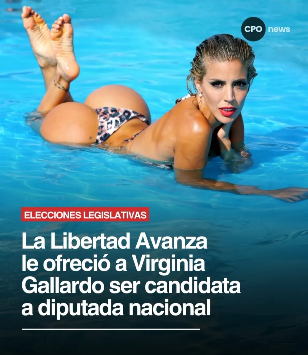 puntoabc's tweet image. No tienen una candidata que no sea gato ?