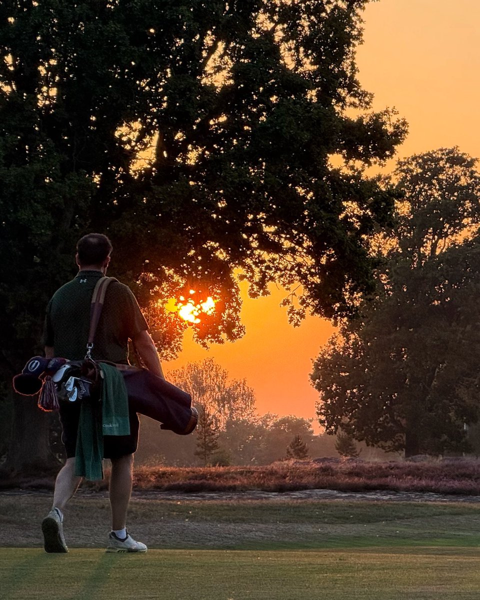 joemcd_golf tweet media