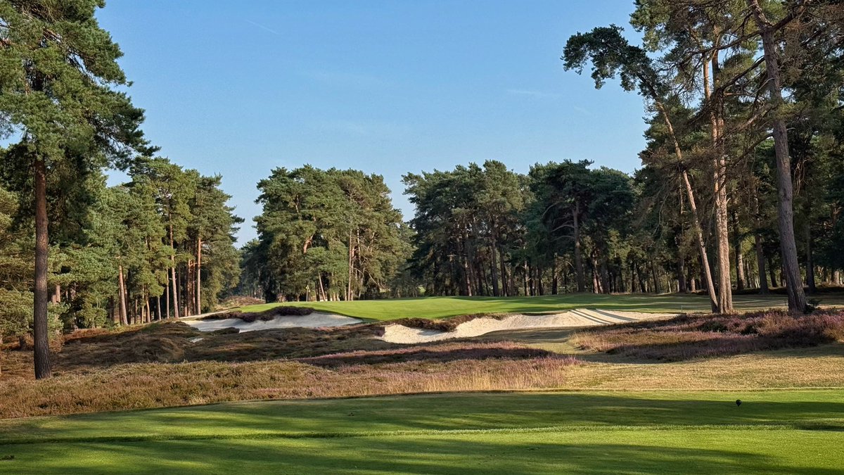 joemcd_golf tweet media