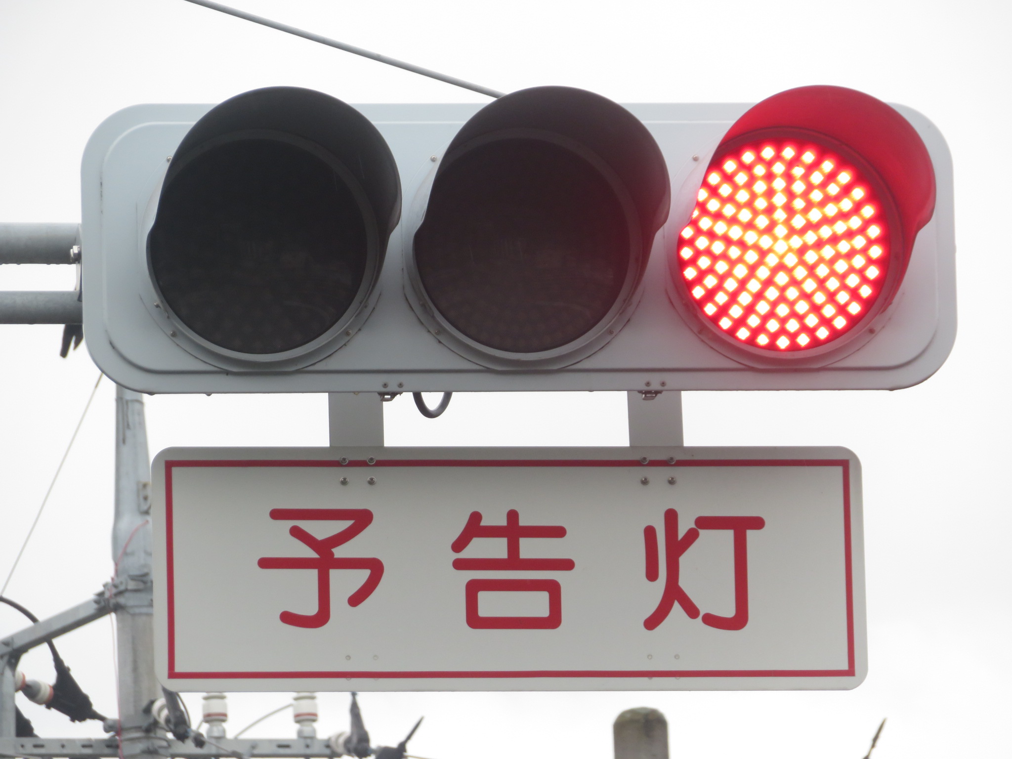 言葉の始まり高松燈PR　D-PR/1208 Amazon.co.jp: ヴァンガード 零騎転生 言葉の始まり 高松 燈(EXC