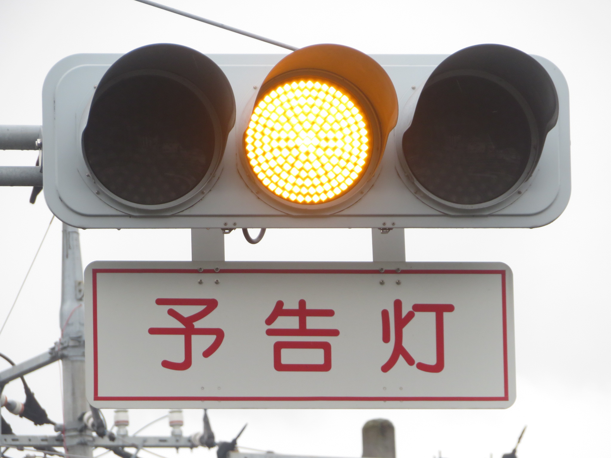 まったん*。 on X: 
