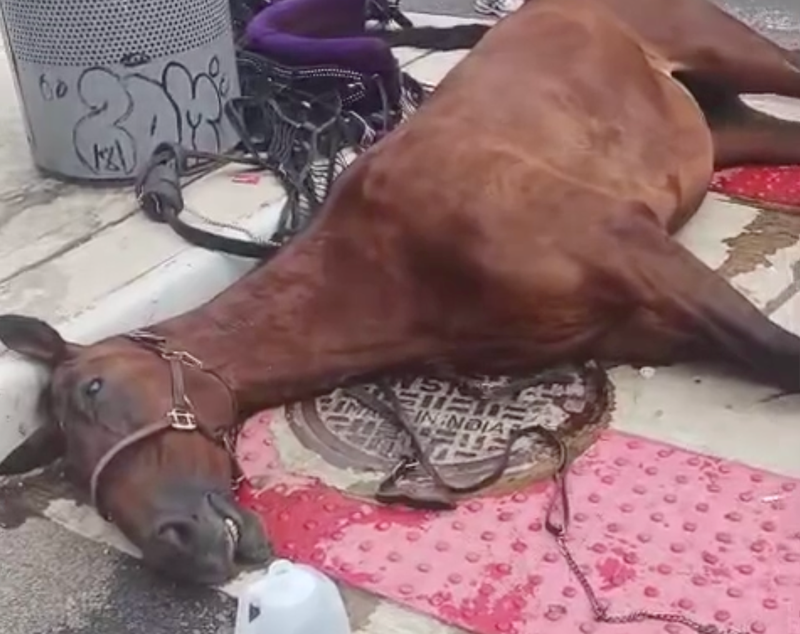 1010 WINS on 92.3 FM tweet media