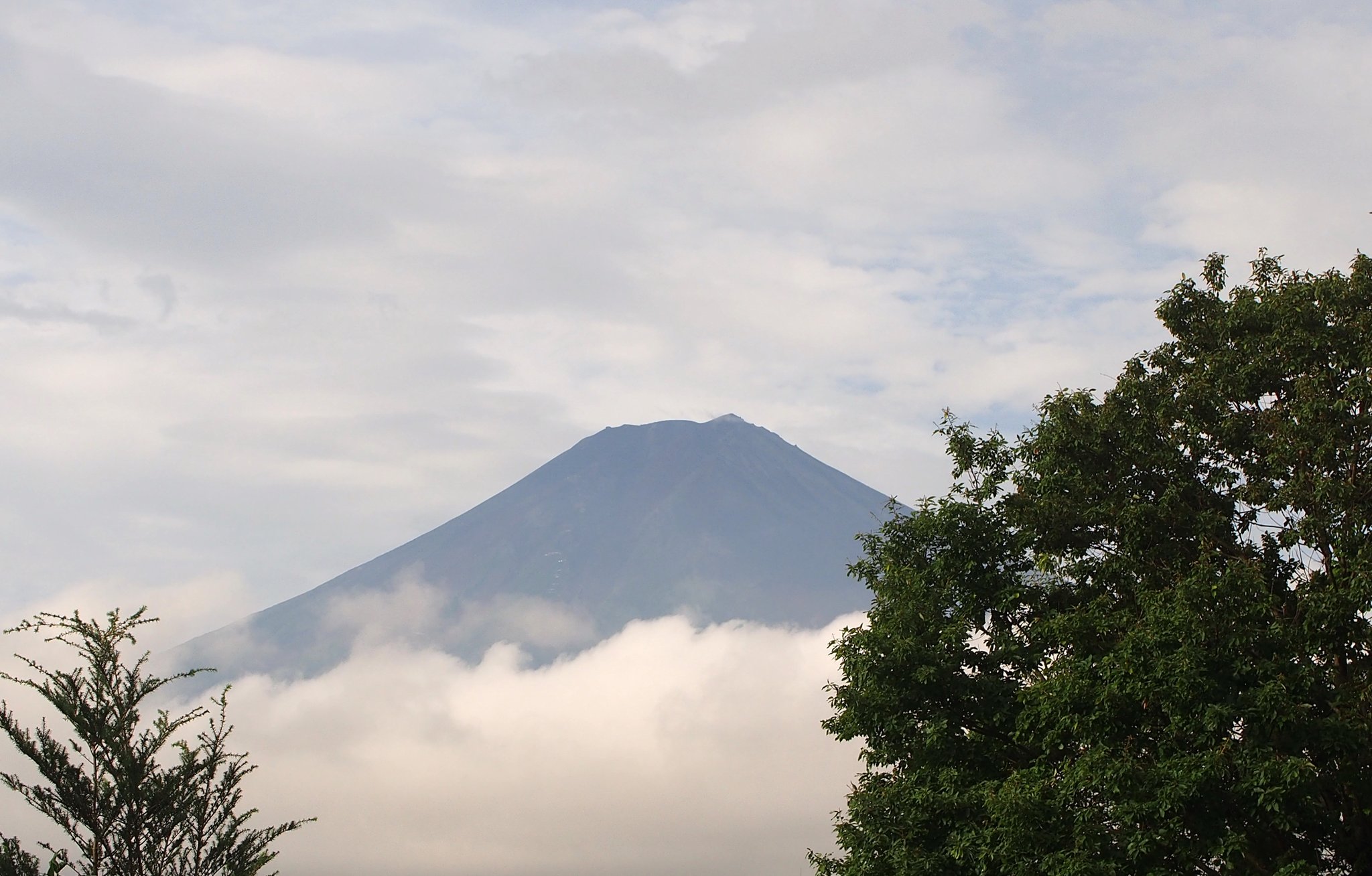 富士山⁇譲ります f-marunishiweb2nd_4955458203564