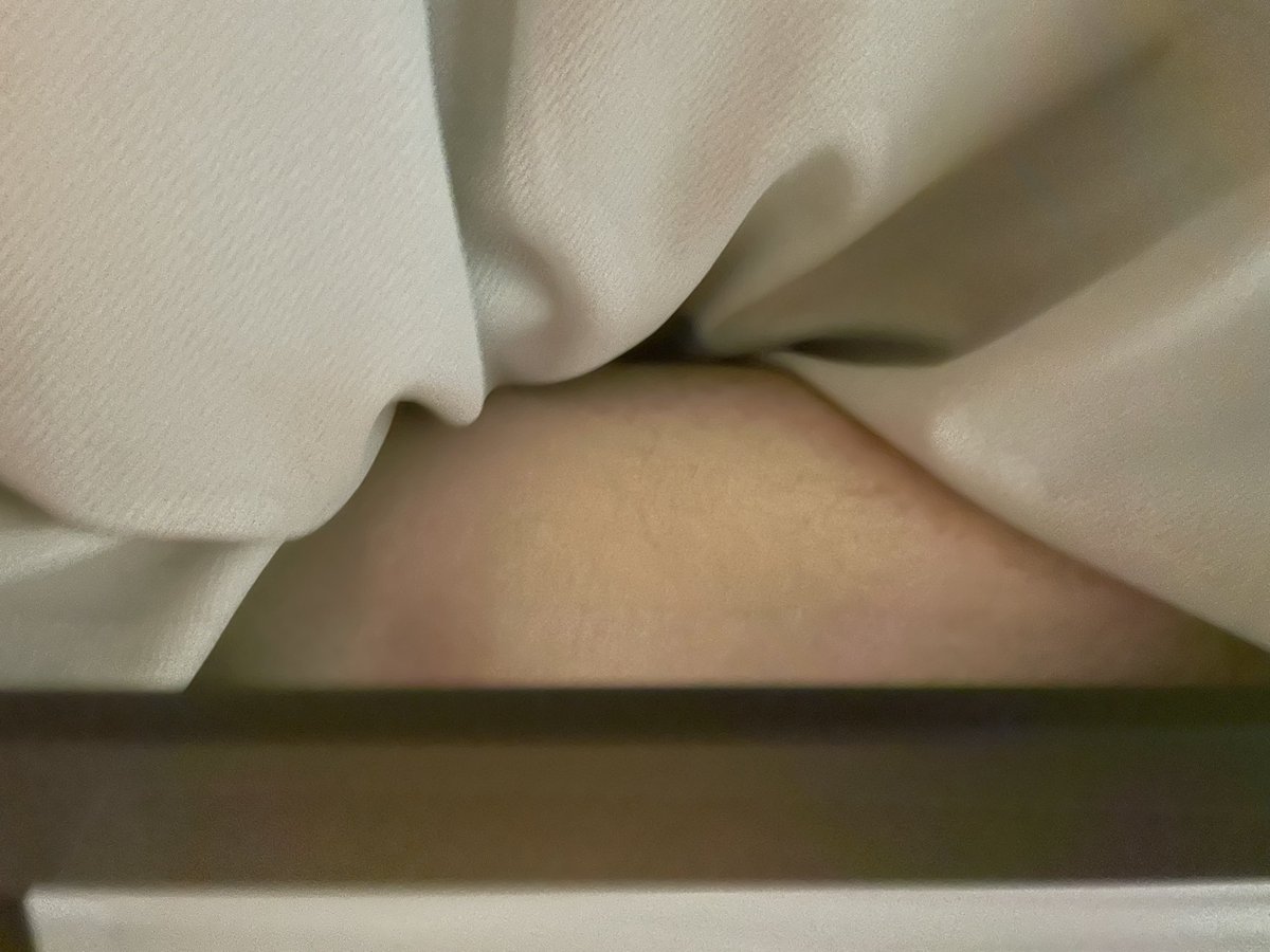 Flash-🇹🇼 tweet media