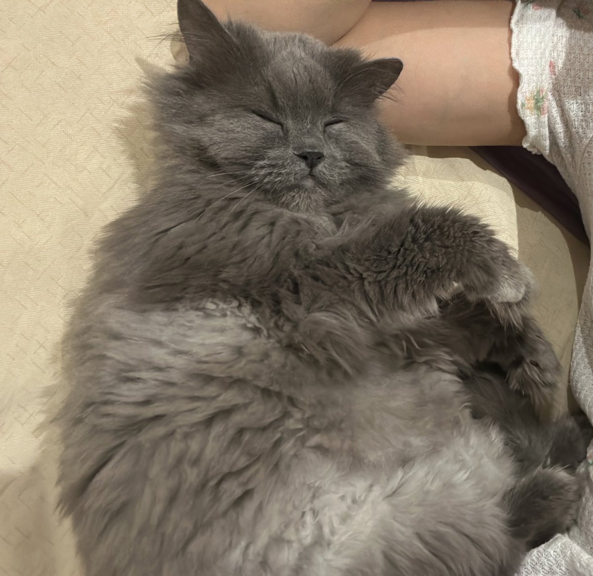 كل حياتي ❤️