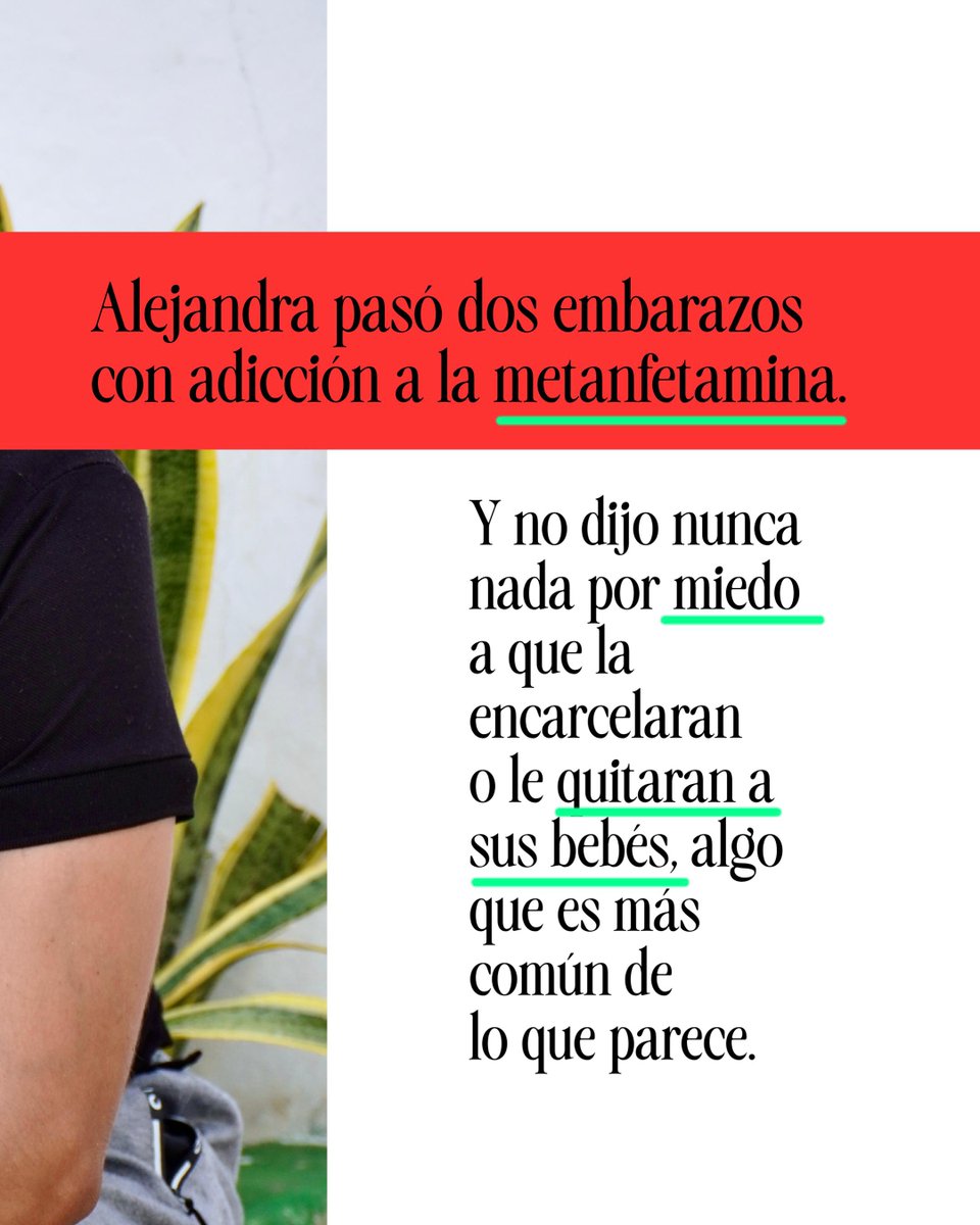 CONNECTAS tweet media