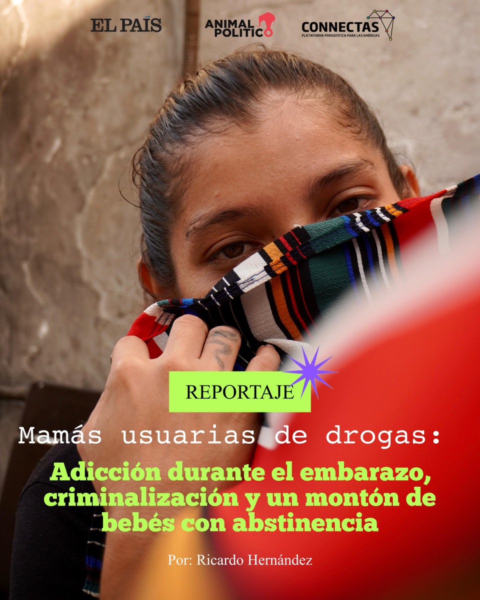 CONNECTAS tweet media