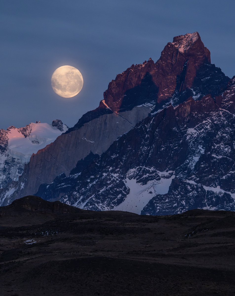 Timothy Dhalleine tweet media