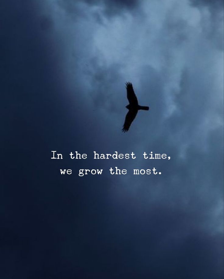 Shelly (@mcain1954) on Twitter photo Tuesday #BuddyChecksMatter Veterans 🫡🇺🇲🤎
#Turn22To0 #EndVeteranSuicide 💕💕💕💕
#PTSDWARRIORSTRONG #JustListen⭐️⚓️🐝🍈✈️🪂
➡️<a href="/BernieW63/">Bernie W 🇺🇸</a>⭐️🇺🇸
➡️<a href="/JOELHarris32715/">JOEL Harris Sr</a>⭐️🇺🇸
➡️@Juddfoot⭐️🇺🇸
➡️<a href="/WayKuy4truth/">Wayne Kuykendall</a>⭐️🇺🇸
➡️<a href="/LautyFett/">#ThisIsWhyIMAGA#</a>⭐️🇺🇸
➡️@ThebigTac⭐️🇺🇸
➡️<a href="/rgarrow53/">rgarrow</a>⭐️🇺🇸
➡️<a href="/RebelWithCaus10/">𝔓𝔞𝔲𝔩 𝔇𝔲𝔣𝔬 🇺🇸</a>⭐️🇺🇸 Tuesday #BuddyChecksMatter Veterans 🫡🇺🇲🤎
#Turn22To0 #EndVeteranSuicide 💕💕💕💕
#PTSDWARRIORSTRONG #JustListen⭐️⚓️🐝🍈✈️🪂
➡️<a href="/BernieW63/">Bernie W 🇺🇸</a>⭐️🇺🇸
➡️<a href="/JOELHarris32715/">JOEL Harris Sr</a>⭐️🇺🇸
➡️@Juddfoot⭐️🇺🇸
➡️<a href="/WayKuy4truth/">Wayne Kuykendall</a>⭐️🇺🇸
➡️<a href="/LautyFett/">#ThisIsWhyIMAGA#</a>⭐️🇺🇸
➡️@ThebigTac⭐️🇺🇸
➡️<a href="/rgarrow53/">rgarrow</a>⭐️🇺🇸
➡️<a href="/RebelWithCaus10/">𝔓𝔞𝔲𝔩 𝔇𝔲𝔣𝔬 🇺🇸</a>⭐️🇺🇸