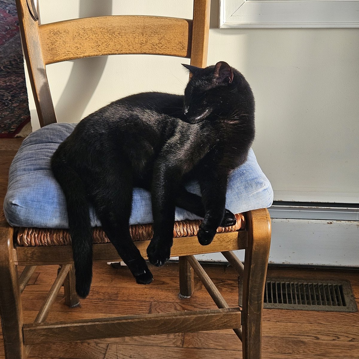 johnosisto's tweet photo. Make sure you get my good side... #therailat1627 https://t.co/tHg50WP46u