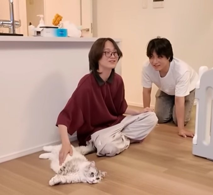 i spot three (3) cats 𖹭