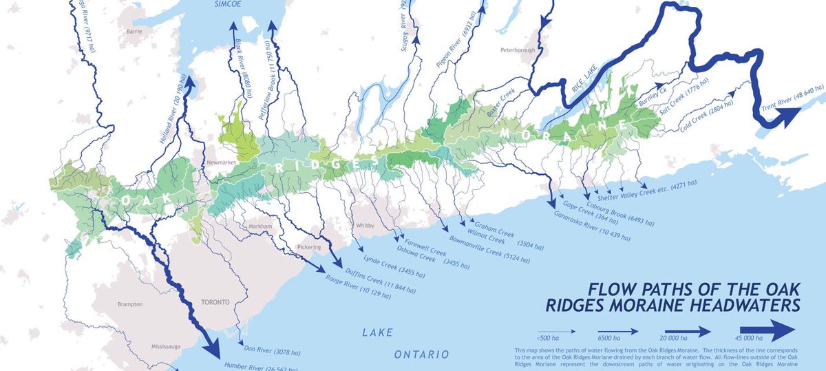 GreenbeltAllies's tweet photo. We welcome newcomers to join us as we prepare for the Review of the Greenbelt Plan. You can find the form link in our profile. The heart of the Greenbelt is the Oak Ridges Moraine. Look at all the rivers that flow from here. #FoodandWaterFirst #SwimDrinkFish #HandsOffTheGreenbelt https://t.co/fH3i8FPl1H