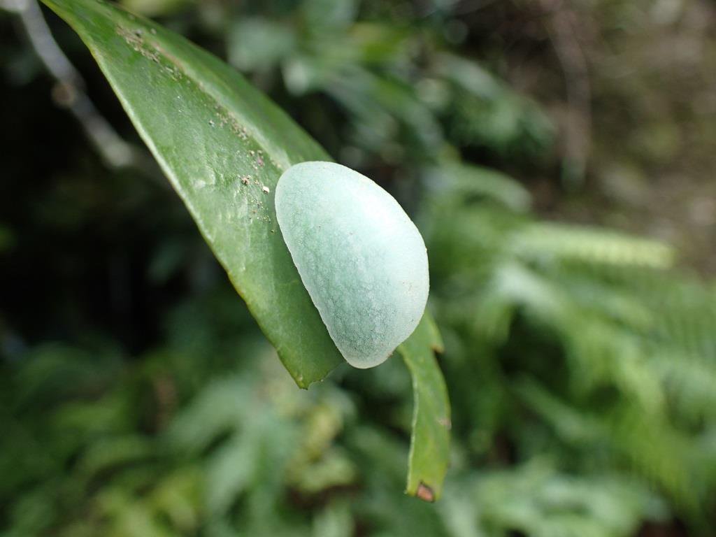 game                                         real life