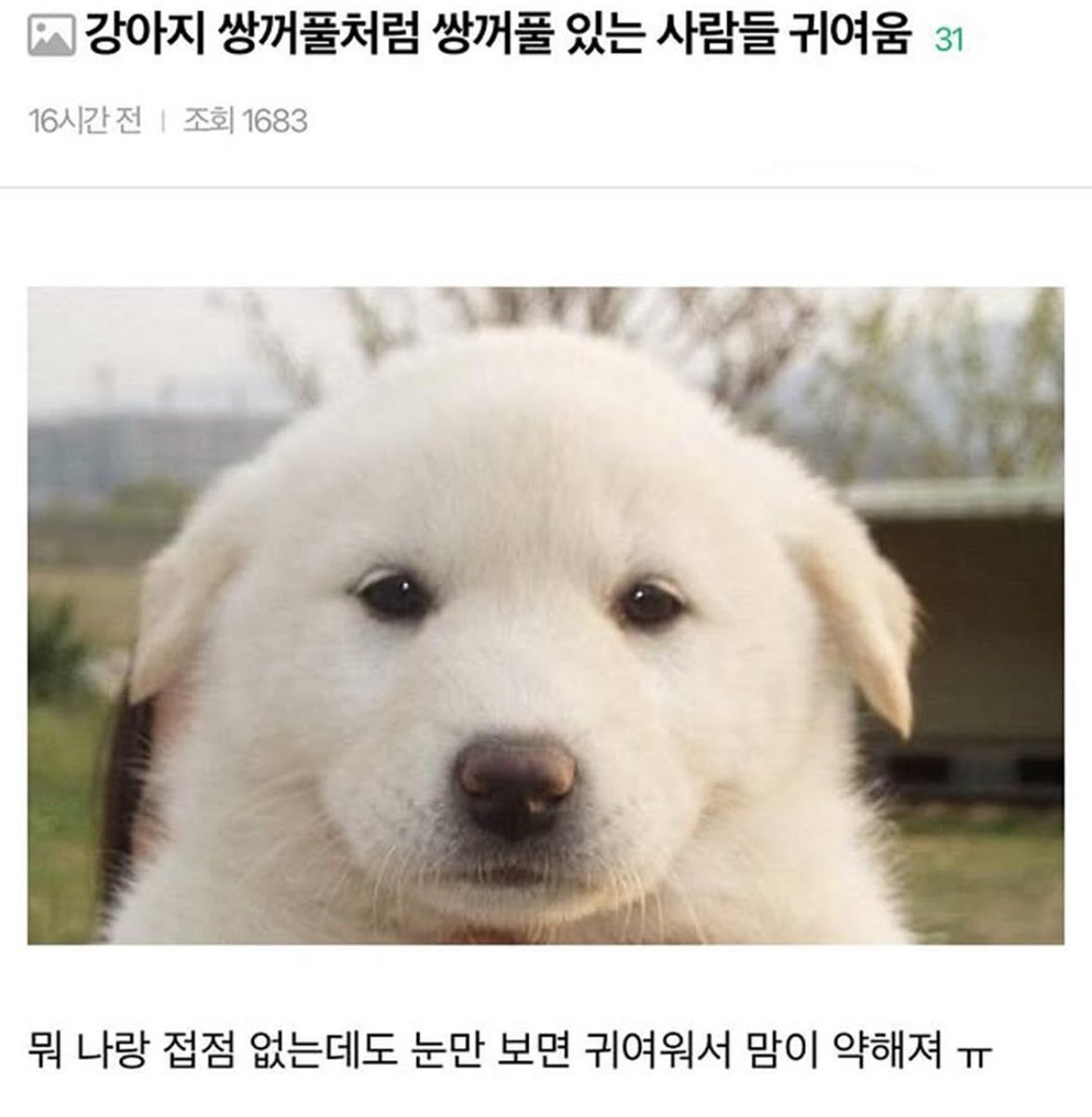 gggunx3's tweet photo. 이거김둥더 ㅋㅋ https://t.co/omHjSJgzNA