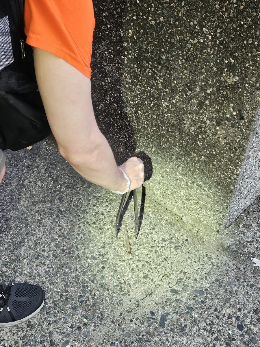 CollingwoodcpcC's tweet image. 1/2
@CollingwoodCPC 
5th #Patrol, Monday 
August. 11th,
Evening Shift, with our #hardworking
&amp;amp; #dedicated #Team
#MountPleasant 
dealing w/ real issues 
in our lovely area.

#Volunteers Mason, Kyle &amp;amp; Ellysia dealt w/ these issues in our #MtPleasant area &amp;amp; beyond.
#Service