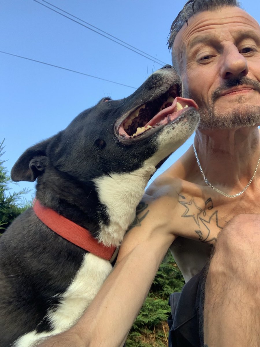 GavinM_onair's tweet image. A night with Mylo incoming! #dogs