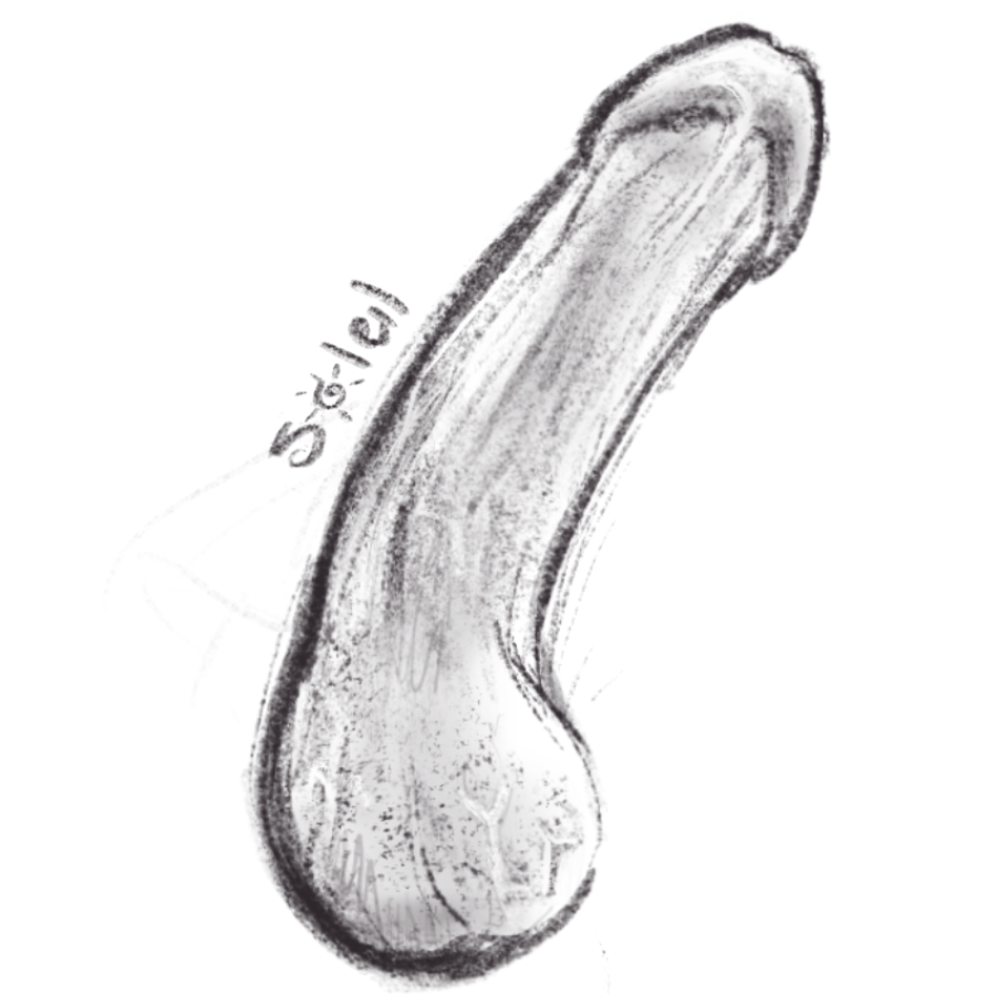 SparklingSoleil's tweet photo. I do dick drawing while live. If you're interested, its 25$. here's a sample ;) https://t.co/4baMJVFxrd