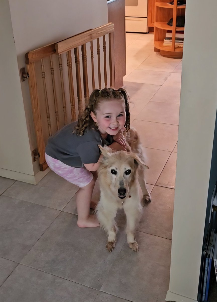 Sodhole's tweet photo. @EvelDick Totally understand. Granddaughter saying bye on Sunday not knowing that Monday our 15 1/2 year old Sally was making that vet trip. https://t.co/7UkAAUIpc3