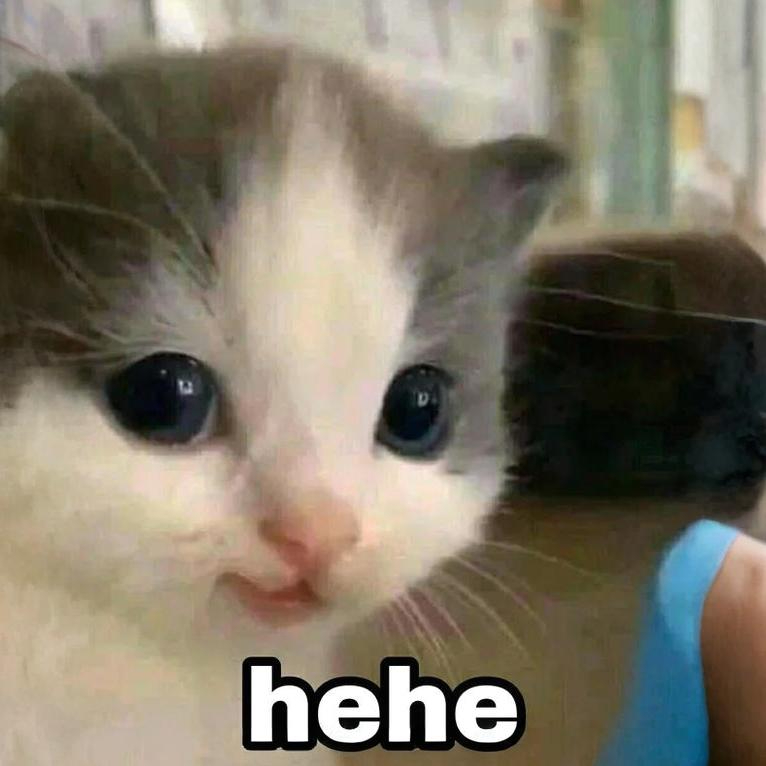 minteddave's tweet photo. hehe cat

EaEygLsXB8hddGkDfPHhZr6iHmHVVFLLgNjTTuxwpump https://t.co/zwPlrxxLMR