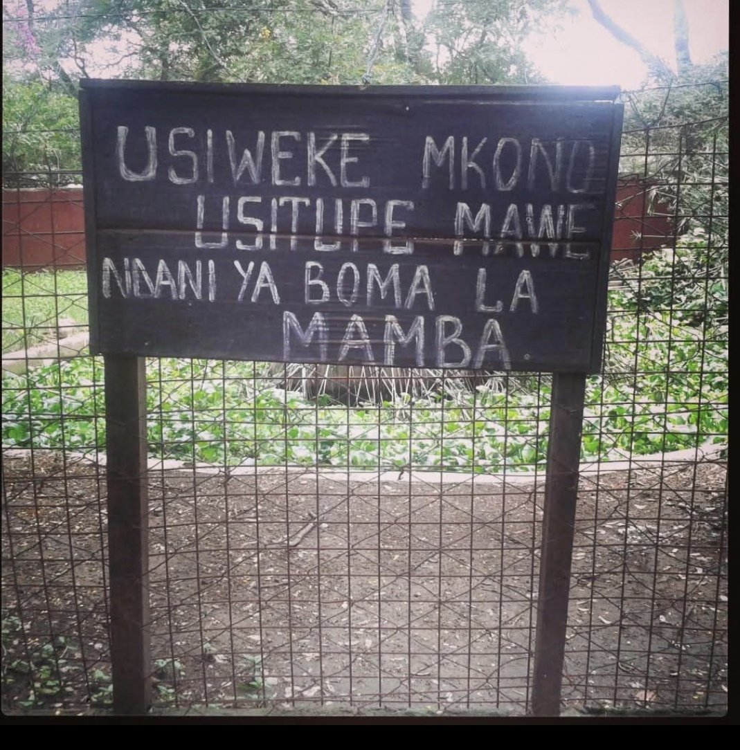 Methali ya kis(i)asa ... ;-)