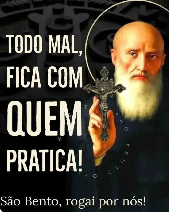 fernanda tweet media