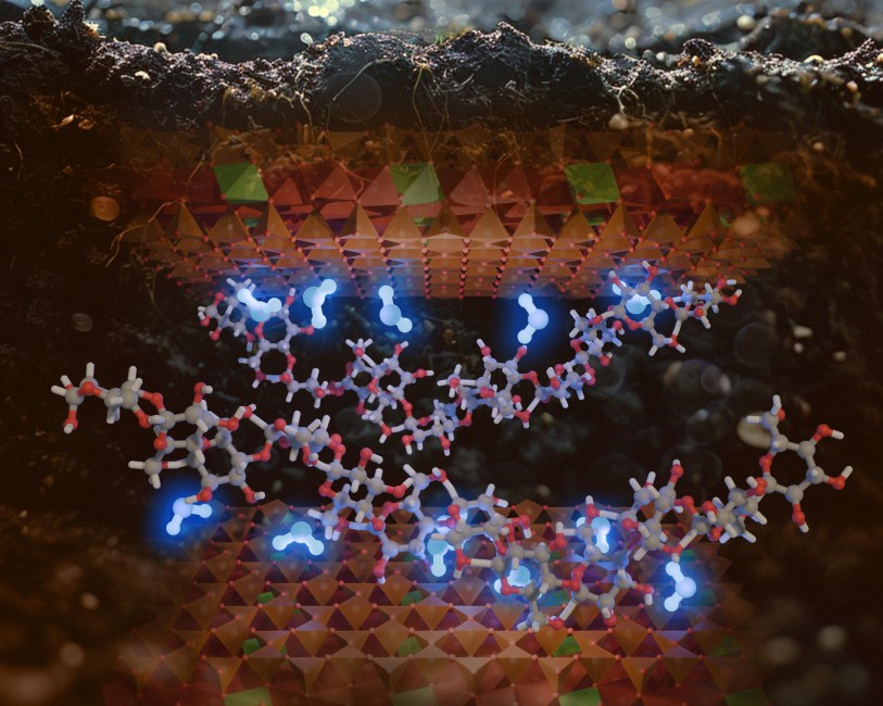 Northwestern CSB (@nusynbio) on Twitter photo Now, for the first time, CSB's <a href="/AristildeLab/">Aristilde Lab @ Northwestern Engineering</a> has uncovered the molecular mechanisms that enable organic matter to boost soil’s ability to retain water — even in desert-like conditions. bit.ly/3Jb28UZ Now, for the first time, CSB's <a href="/AristildeLab/">Aristilde Lab @ Northwestern Engineering</a> has uncovered the molecular mechanisms that enable organic matter to boost soil’s ability to retain water — even in desert-like conditions. bit.ly/3Jb28UZ