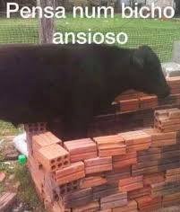 O cara já fez a análise da CRB sendo que não teve nenhum jogo das quartas kkkkkkkkkkkkkkkkkkkkkkkkkk