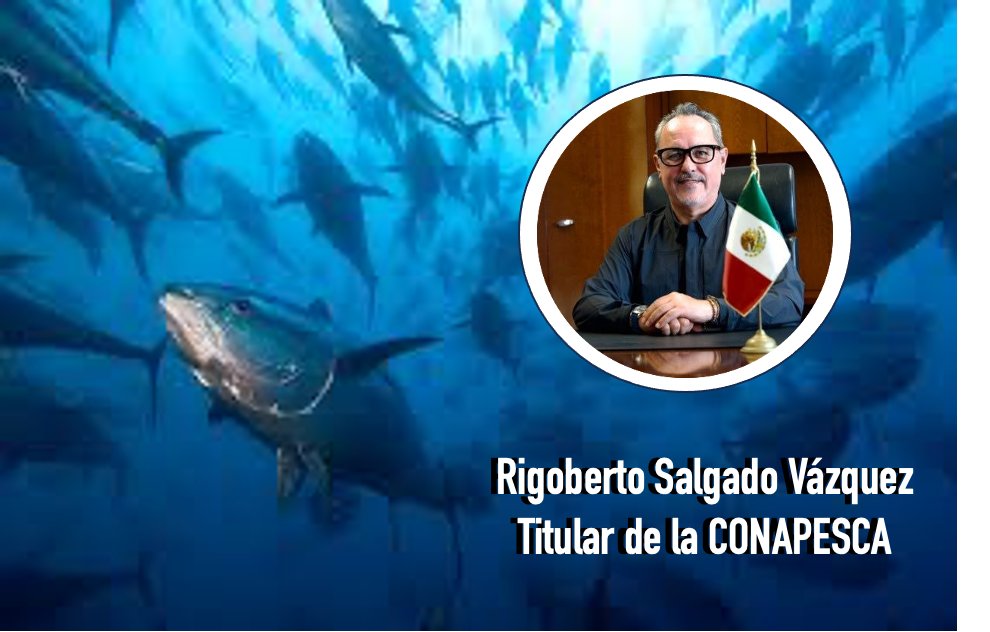 Nuestra felicitación a  Rigoberto Salgado Vázquez <a href="/RigoSalgadoV/">Rigoberto Salgado Vázquez</a>, por su nombramiento como titular de la <a href="/Conapesca/">Conapesca</a>. Estamos listos para sumar esfuerzos y engrandecer al sector, impulsar el crecimiento, y contribuir a la autosuficiencia alimentaria de la nación. <a href="/Grupomar/">Grupomar®</a>