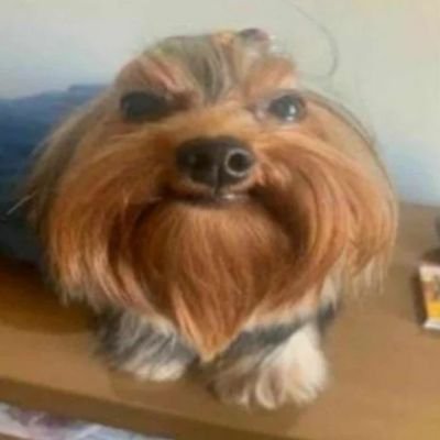 Nauczycielka: dobrze klasa, dzisiaj będziemy przekładać wajchę 
Dzieciak imieniem Mateusz: