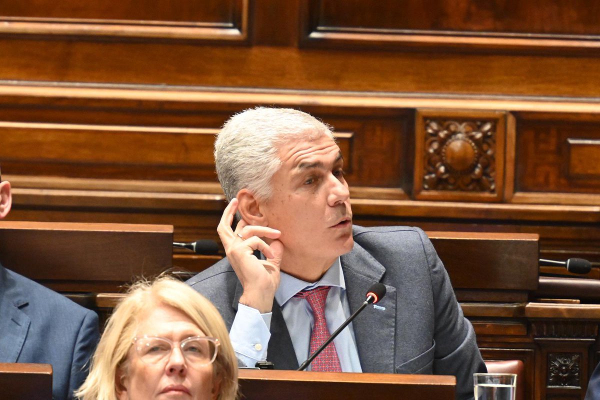 Rodrigo Goñi Reyes tweet media