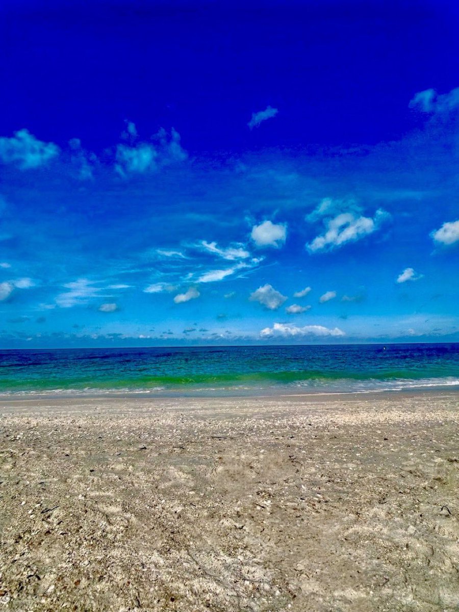 It is nice out here this morning. 🏖️Hopefully your day goes well. 🌤️
