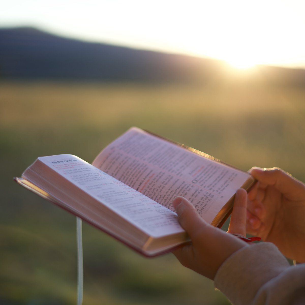 St. Andrew's Church, Academy, & College tweet media