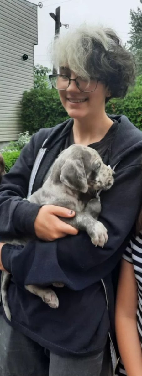 blue61033's tweet photo. Im sorry to announce that my great dane, Lou, had to be put down at only 4 years old, at 1am on the 11th of August. Im very heartbroken, ive lost my friend,my soulmate, the light of my life. Its been very rough so far. I miss you so much mon amour, now rest, please. 🕊🕊🕊 https://t.co/7MA8rX4Egt