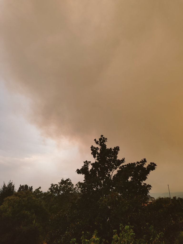 Ana_GR9's tweet photo. EN TODO EL BIERZO SE HA HECHO DE NOCHE SIENDO DE DIA... El humo nos ha sepultado y ha comenzado a llover literalmente ceniza y los fuegos siguen sin control alguno 😥 estamos en un infierno!

#ElBierzo #Leon #LasMedulas #IFLlamasdeCabrera #Ponferrada https://t.co/OZq514xGnt