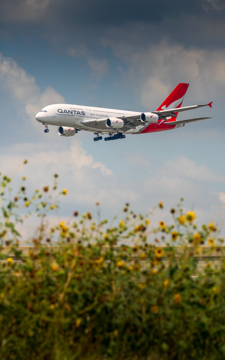Welcome back, mate! 🦘The <a href="/Qantas/">Qantas</a> A380 has returned on the Sydney - Dallas-Fort Worth 🤠 route 4 times per week. With an increase in premium seat capacity, customers can choose between four cabins onboard including Qantas’ exclusive First Class!

📸: @adeetography 

#superjumbo