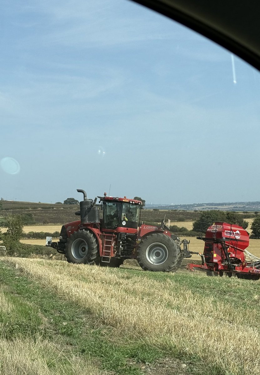 Sam Collins tweet media