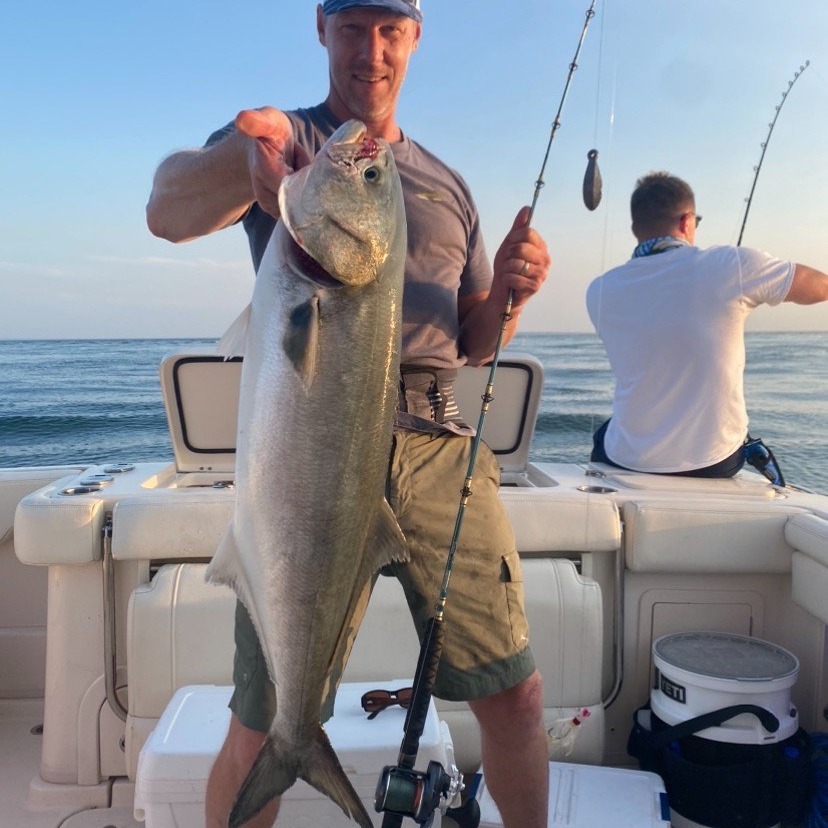 BluefishTourn's tweet photo. Sign up for @surfsidehotel Bluefish Tournament happening August 23 &amp; 24. Someone's coming out of next weekend with the $25,000 grand prize!

💻 register online at https://t.co/YKrfDD1cRH (no T-shirt included)
📍 register at local tackle shops &amp; get your T-shirt https://t.co/eX5SvJ2mgJ