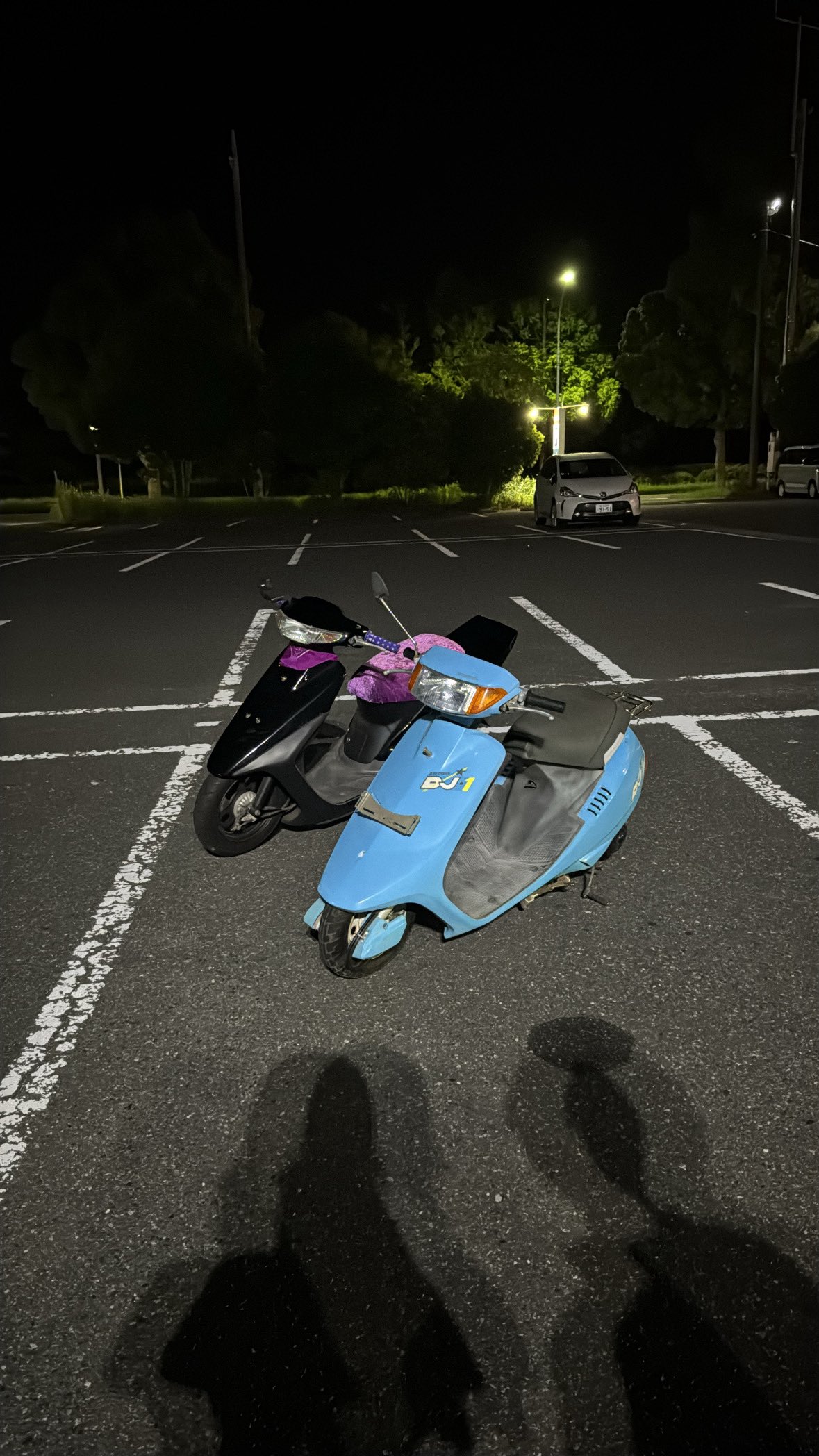 もち2号 mochi#photography on X: 