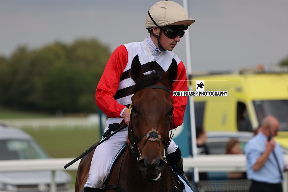Rory Fraser Photography🤘 (@92roryf) on Twitter photo MR MISTOFFELEES (Siyouni x Jellicle Ball) at York recently for a class four handicap (1m)
Trained by <a href="/SEnglandRacing/">SamEnglandRacing</a> and owned by The Marina Partnership.
A one time winner to date and placed second four times this year, including on latest start at Redcar. MR MISTOFFELEES (Siyouni x Jellicle Ball) at York recently for a class four handicap (1m)
Trained by <a href="/SEnglandRacing/">SamEnglandRacing</a> and owned by The Marina Partnership.
A one time winner to date and placed second four times this year, including on latest start at Redcar.