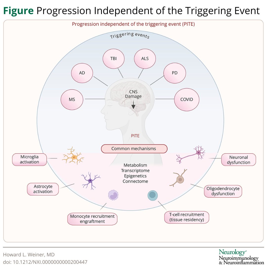 New Commentary by Howard L. Weiner, MD: Progression Independent of the Triggering Event in Neurologic Diseases hubs.la/Q03BN-4G0

#NeuroTwitter <a href="/weinerlabhms/">Howard L. Weiner, MD</a>