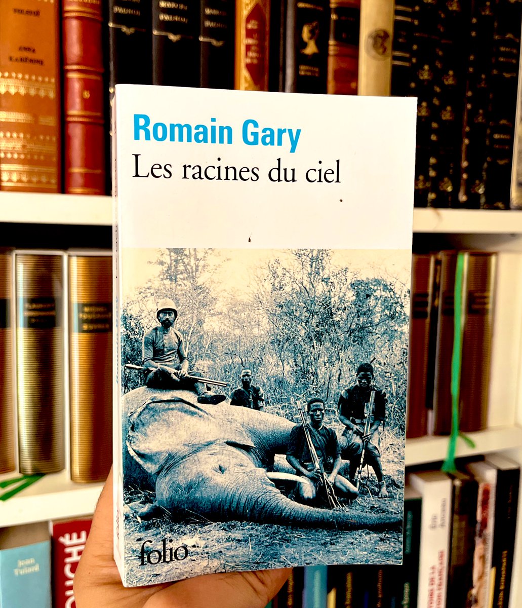 📚Cosmos Littéraire🌌 tweet media