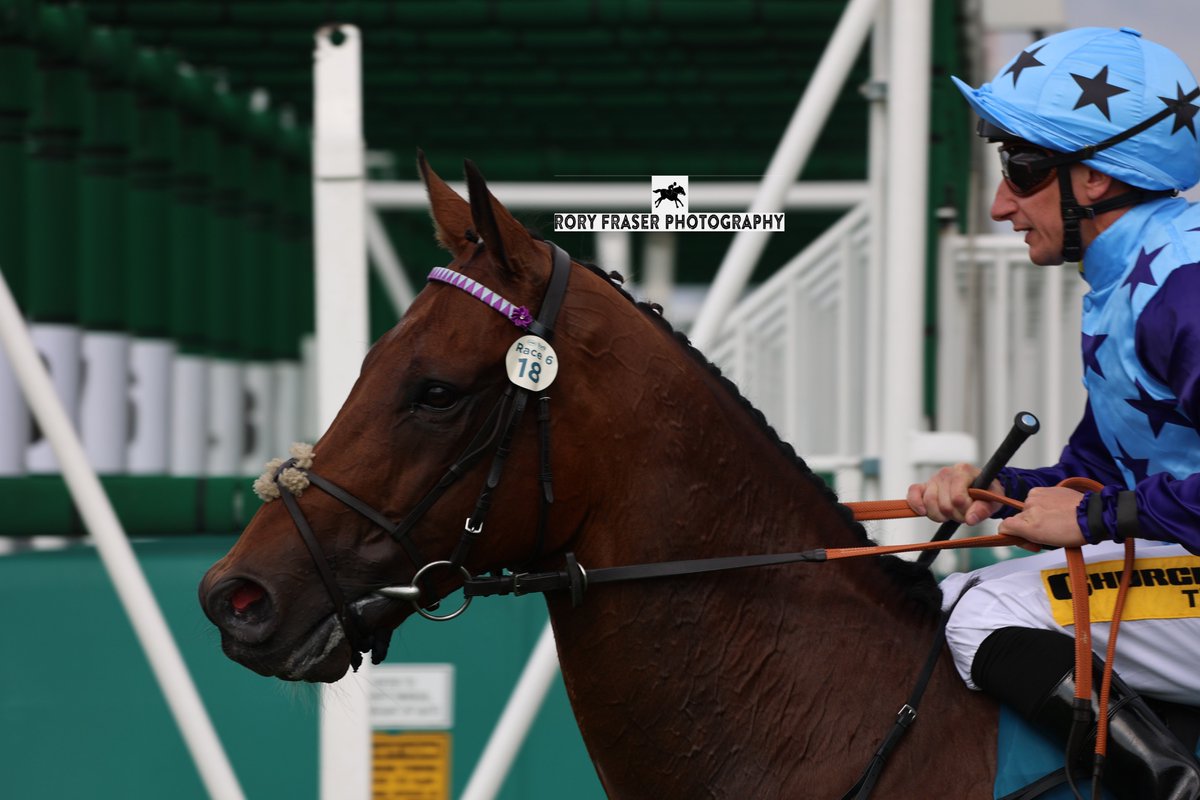Rory Fraser Photography🤘 (@92roryf) on Twitter photo SIAM FOX (Prince Of Lir x Folegandros Islands) at York recently for a class four handicap (1m)
Trained by <a href="/Fro5tRacing/">Kevin Frost Racing</a> and owned by Stephen J Hine.
A five time winner with six placings in forty career starts. His latest win in June 2024. SIAM FOX (Prince Of Lir x Folegandros Islands) at York recently for a class four handicap (1m)
Trained by <a href="/Fro5tRacing/">Kevin Frost Racing</a> and owned by Stephen J Hine.
A five time winner with six placings in forty career starts. His latest win in June 2024.