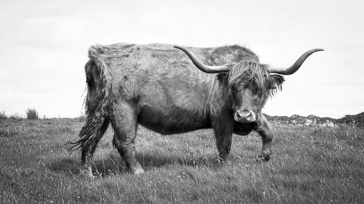 DerekAGrist tweet media