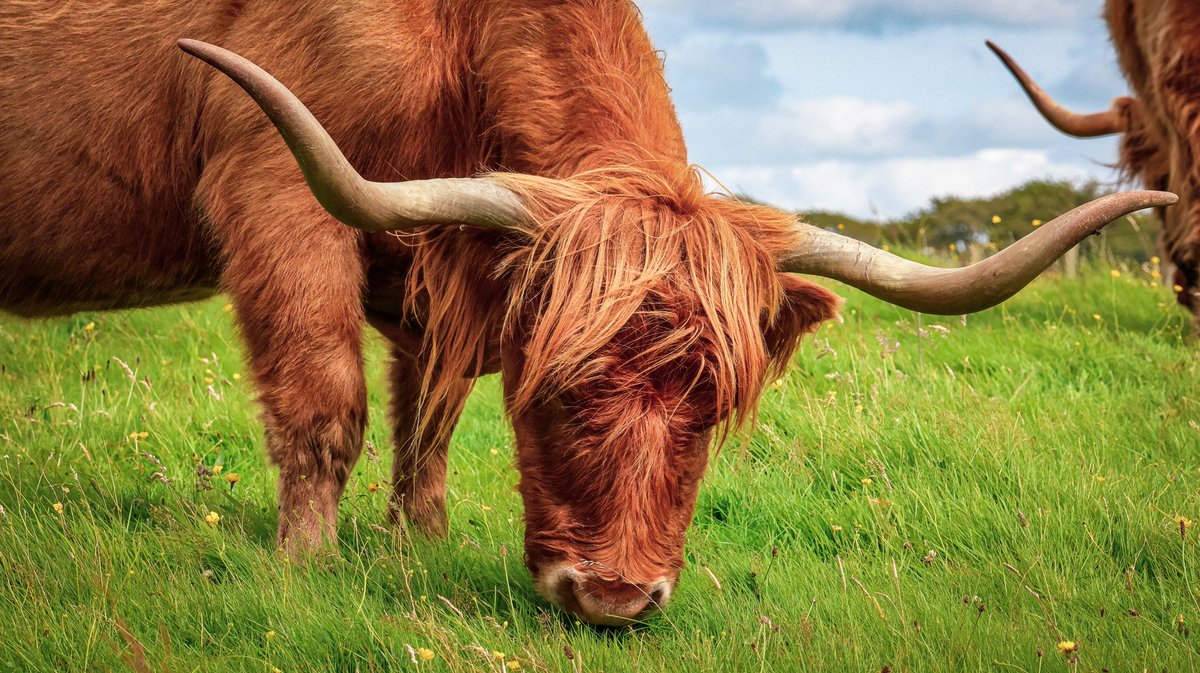 DerekAGrist tweet media