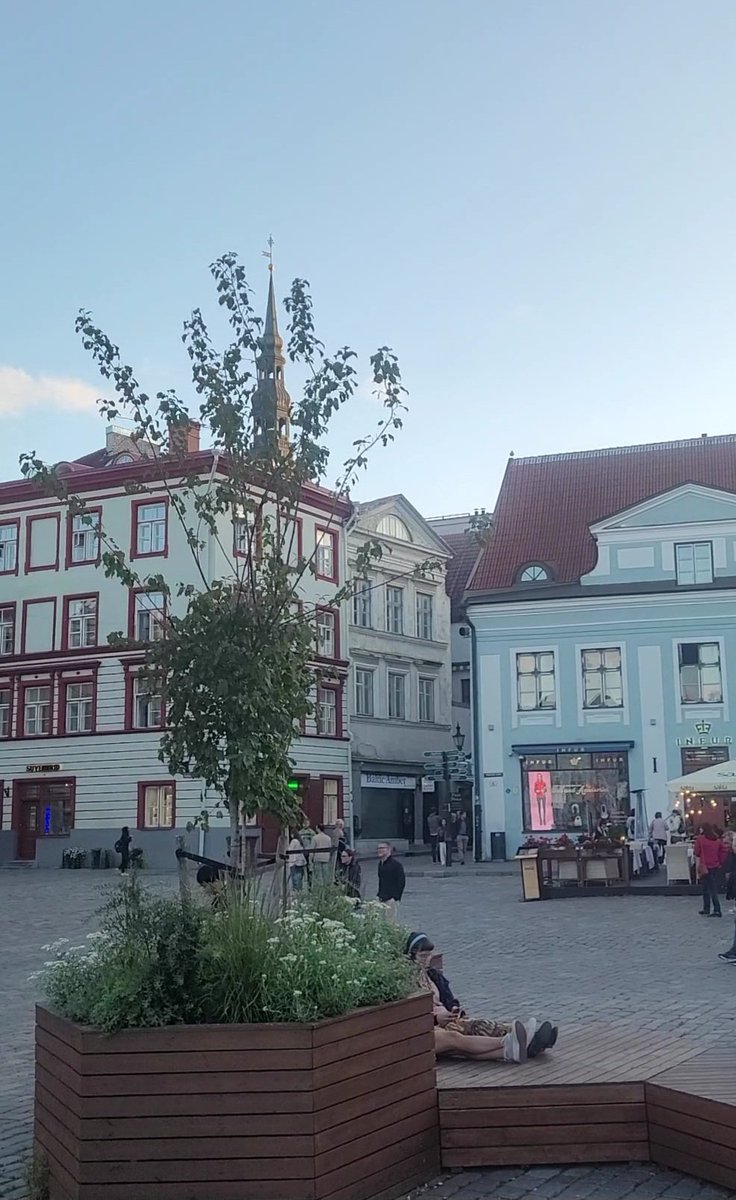 Evanthia Hatziminaoglou tweet media