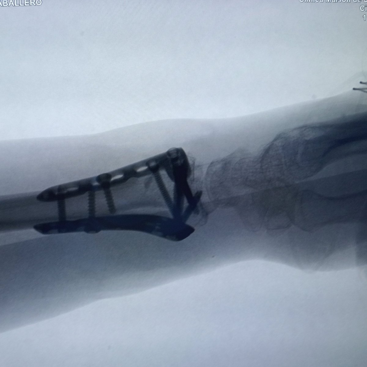 Will 🦴🛠💪🏼 tweet media