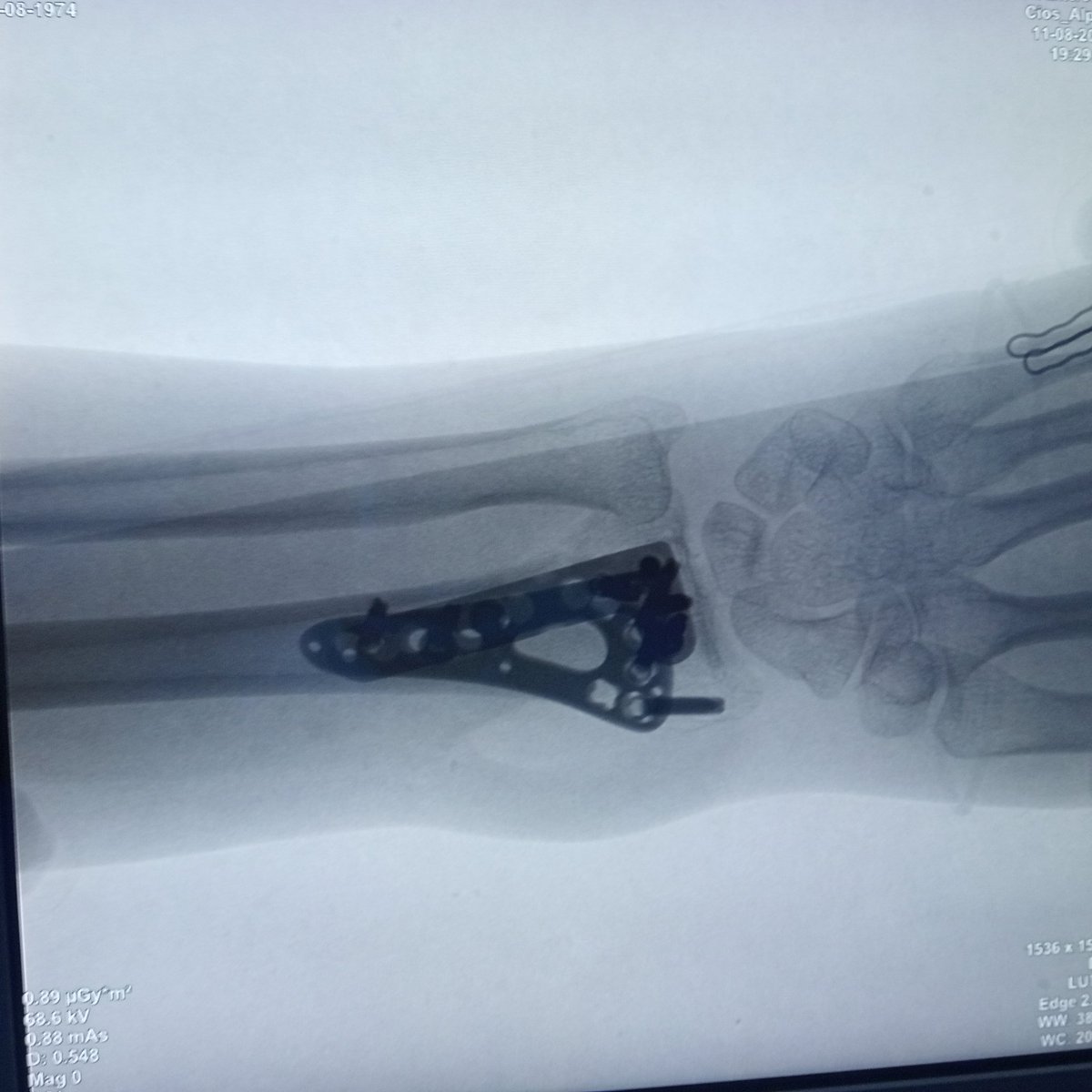 Will 🦴🛠💪🏼 tweet media